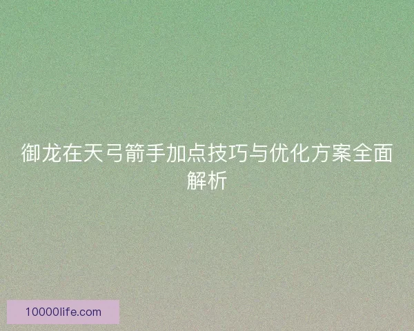 御龙在天弓箭手加点技巧与优化方案全面解析
