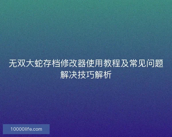 无双大蛇存档修改器使用教程及常见问题解决技巧解析