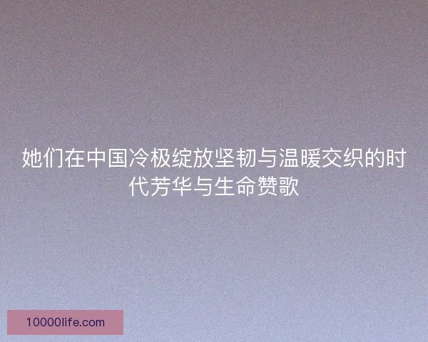 她们在中国冷极绽放坚韧与温暖交织的时代芳华与生命赞歌