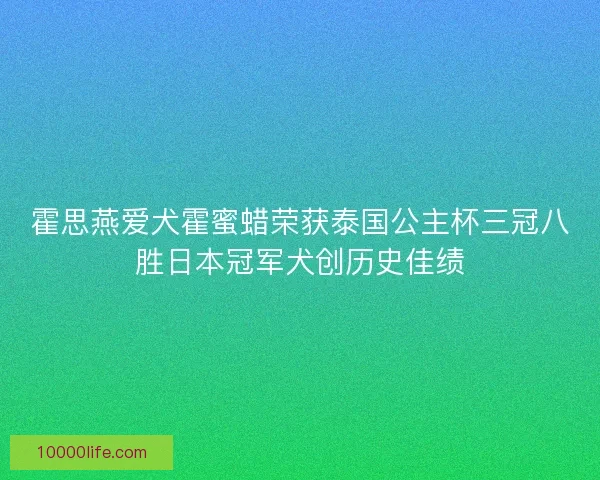 霍思燕爱犬霍蜜蜡荣获泰国公主杯三冠八胜日本冠军犬创历史佳绩