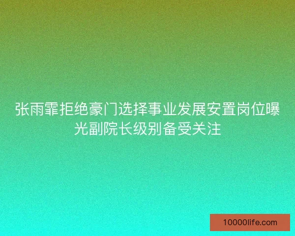 张雨霏拒绝豪门选择事业发展安置岗位曝光副院长级别备受关注