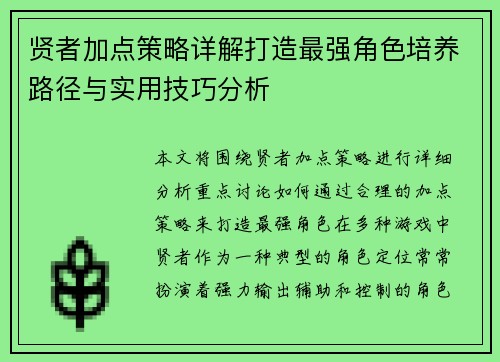 贤者加点策略详解打造最强角色培养路径与实用技巧分析